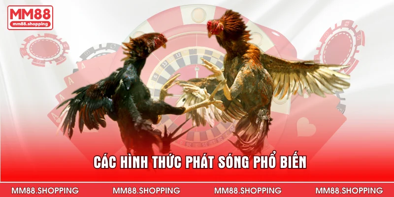 Các hình thức phát sóng phổ biến