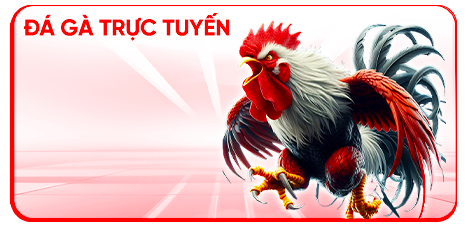 Đá gà trực tuyến